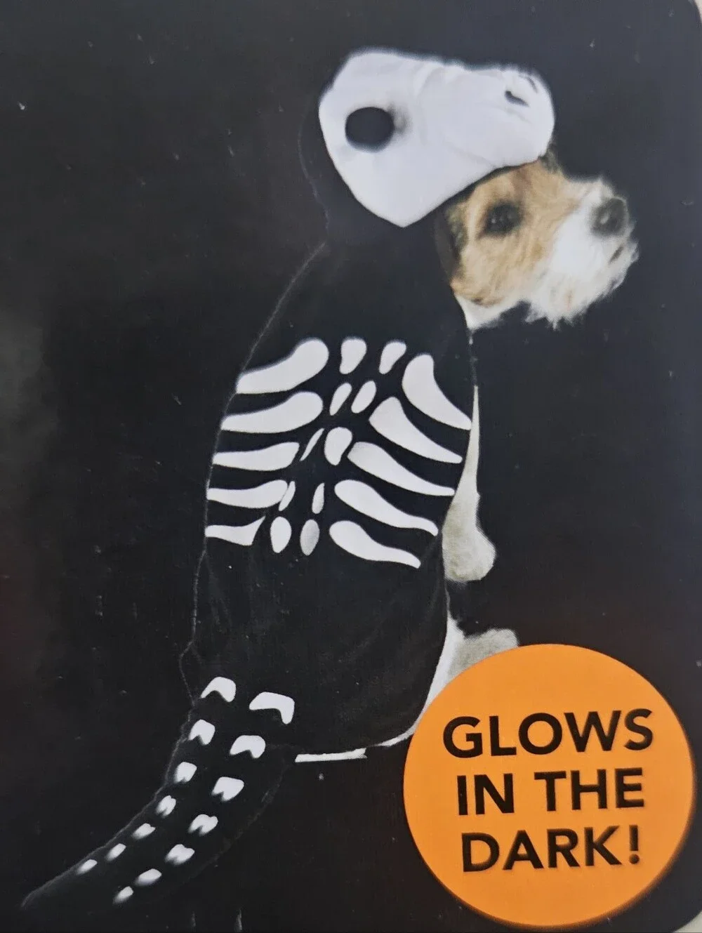 Glow-in-the-Dark Dog Dinosaur Skeleton Costume - Sz Medium